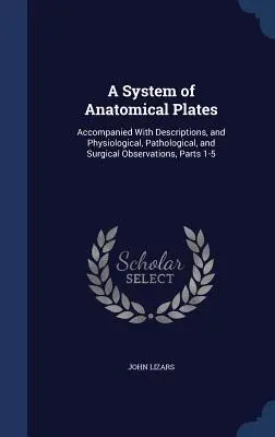 Un sistema di tavole anatomiche: Accompagnato da descrizioni e osservazioni fisiologiche, patologiche e chirurgiche, Parti 1-5 - A System of Anatomical Plates: Accompanied With Descriptions, and Physiological, Pathological, and Surgical Observations, Parts 1-5