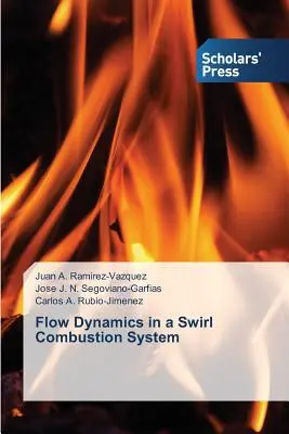 Dinamica del flusso in un sistema di combustione a vortice - Flow Dynamics in a Swirl Combustion System
