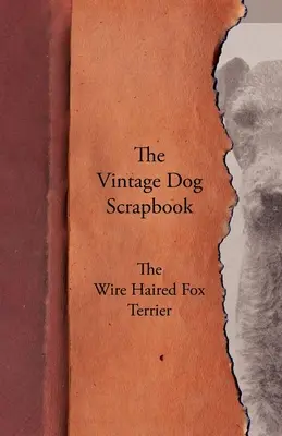 Il quaderno d'epoca del cane - Il Fox Terrier a pelo corto - The Vintage Dog Scrapbook - The Wire Haired Fox Terrier