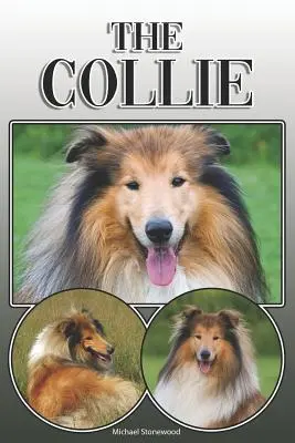 Il Collie: una guida completa ed esaustiva per il proprietario: Acquistare, possedere, salute, curare, addestrare, obbedire, capire e capire il collie. - The Collie: A Complete and Comprehensive Owners Guide To: Buying, Owning, Health, Grooming, Training, Obedience, Understanding and