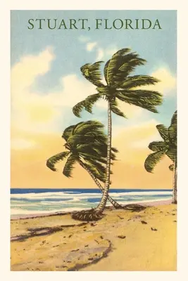 Diario d'epoca Stuart, Florida - Vintage Journal Stuart Florida