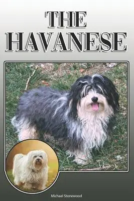 L'avanese: Guida completa ed esaustiva per il proprietario: Acquistare, possedere, salute, toelettatura, addestramento, obbedienza, comprensione e - The Havanese: A Complete and Comprehensive Owners Guide To: Buying, Owning, Health, Grooming, Training, Obedience, Understanding and