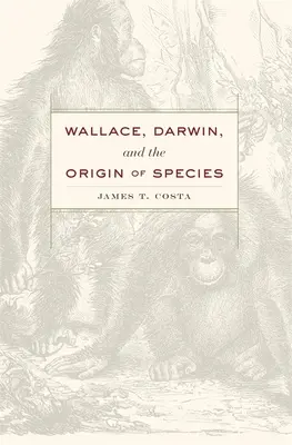 Wallace, Darwin e l'origine delle specie - Wallace, Darwin, and the Origin of Species