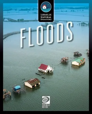 Alluvioni - Floods