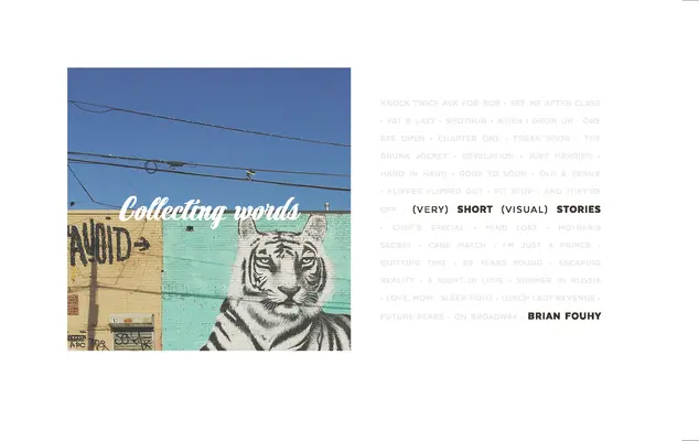 Collezionare parole: Brevi storie visive - Collecting Words: Short Visual Stories