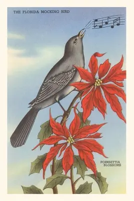 Diario d'epoca Florida, uccello tordo, stelle di Natale - Vintage Journal Florida Mockingbird, Poinsettias