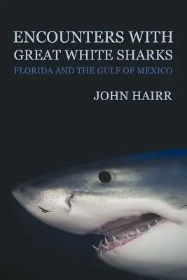 Incontri con gli squali bianchi: Florida e Golfo del Messico - Encounters with Great White Sharks: Florida and the Gulf of Mexico