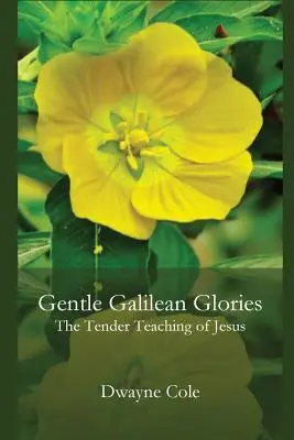 Glorie galileiane: I teneri insegnamenti di Gesù - Gentle Galilean Glories: The Tender Teachings of Jesus