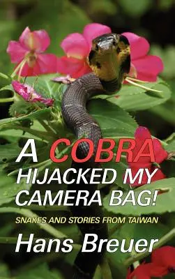 Un cobra ha sequestrato la mia borsa fotografica! Serpenti e storie da Taiwan - A Cobra Hijacked My Camera Bag! Snakes and Stories from Taiwan