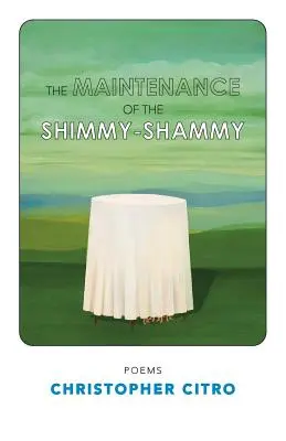 La manutenzione dello ShimmyShammy - The Maintenance of the ShimmyShammy