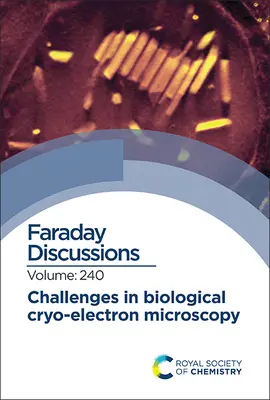 Sfide nella microscopia elettronica biologica: Discussione su Faraday 240 - Challenges in Biological Cryo Electron Microscopy: Faraday Discussion 240