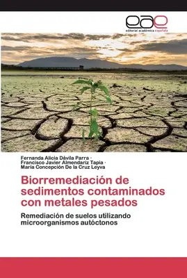 Biorimediazione di sedimenti contaminati da metalli pesanti - Biorremediacin de sedimentos contaminados con metales pesados