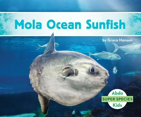 Pesce luna dell'oceano Mola - Mola Ocean Sunfish