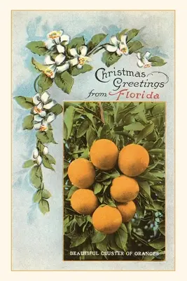 Diario d'epoca Auguri di Natale dalla Florida - Vintage Journal Christmas Greetings from Florida