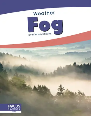 Nebbia - Fog