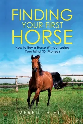 Trovare il tuo primo cavallo: come acquistare un cavallo senza perdere la testa (o il denaro) - Finding Your First Horse: How to Buy a Horse without Losing Your Mind (or Money)
