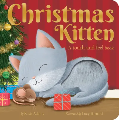 Il gattino di Natale: Un libro da toccare e toccare - Christmas Kitten: A Touch-And-Feel Book
