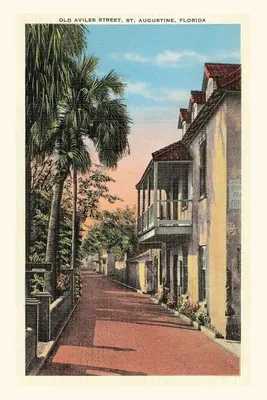 Diario d'epoca Vecchia via Aviles, Sant'Agostino - Vintage Journal Old Aviles Street, St. Augustine