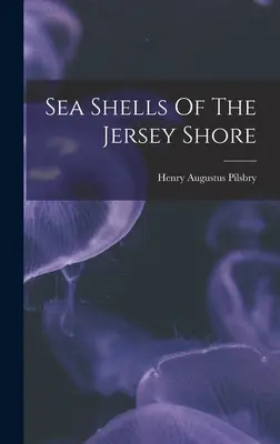 Conchiglie di mare della costa del Jersey - Sea Shells Of The Jersey Shore