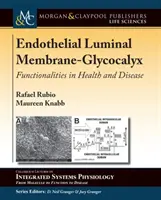 Membrana luminale endoteliale e glicocalice: funzionalità nella salute e nella malattia - Endothelial Luminal Membrane-Glycocalyx: Functionalities in Health and Disease
