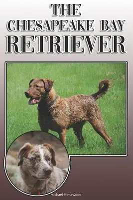 Il Chesapeake Bay Retriever: Una guida completa ed esaustiva per il proprietario: Comprare, possedere, salute, toelettatura, addestramento, obbedienza, comprensione e - The Chesapeake Bay Retriever: A Complete and Comprehensive Owners Guide To: Buying, Owning, Health, Grooming, Training, Obedience, Understanding and