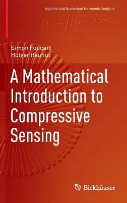 Introduzione matematica al rilevamento compressivo - A Mathematical Introduction to Compressive Sensing
