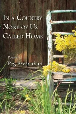 In un paese che nessuno di noi chiamava casa - In a Country None of Us Called Home