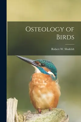 Osteologia degli uccelli - Osteology of Birds