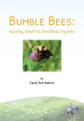 I bombi: ronzanti, belli, benefici, grandi api - Bumble Bees: buzzing, beautiful, beneficial, big bees