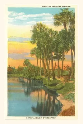 Diario d'epoca Tramonto nella Florida tropicale, Parco statale del fiume Myakka - Vintage Journal Sunset in Tropical Florida, Myakka River State Park