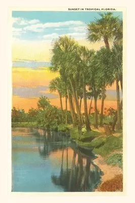 Diario d'epoca Tramonto, palme, Florida - Vintage Journal Sunset, Palm Trees, Florida