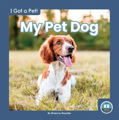Il mio cane da compagnia - My Pet Dog
