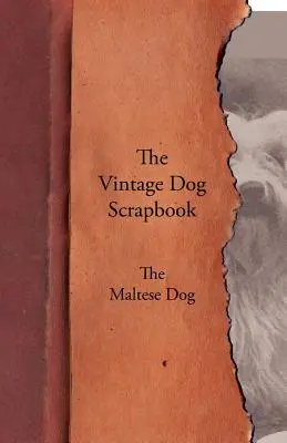 L'annuario dei cani d'epoca - Il maltese - The Vintage Dog Scrapbook - The Maltese