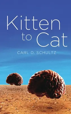 Da gattino a gatto - Kitten to Cat