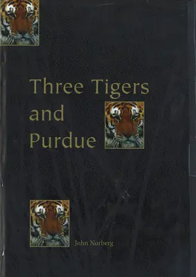 Tre tigri e Purdue: Storie di Corea, Hong Kong, Taiwan e di un'università americana - Three Tigers and Purdue: Stories of Korea, Hong Kong, Taiwan, and an American University
