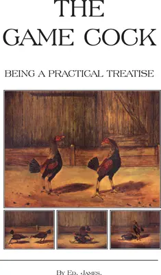 The Game Cock - Being a Practical Treatise on Breeding, Rearing, Training, Feeding, Trimming, Mains, Heeling, Spurs, Etc. (Storia dei combattimenti di galli) - The Game Cock - Being a Practical Treatise on Breeding, Rearing, Training, Feeding, Trimming, Mains, Heeling, Spurs, Etc. (History of Cockfighting Ser