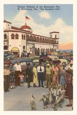 Diario d'epoca Pellicani, St. Petersburg, Florida - Vintage Journal Pelicans, St. Petersburg, Florida