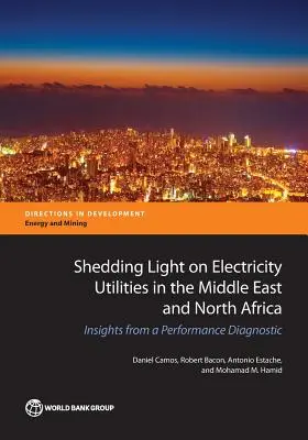 Fare luce sulle aziende elettriche del Medio Oriente e del Nord Africa: spunti da una diagnostica delle prestazioni - Shedding Light on Electricity Utilities in the Middle East and North Africa: Insights from a Performance Diagnostic