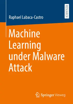 L'apprendimento automatico sotto attacco malware - Machine Learning Under Malware Attack