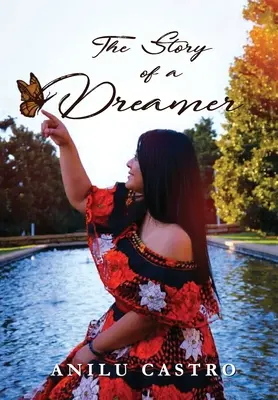 Il sognatore di storie - The Story Dreamer