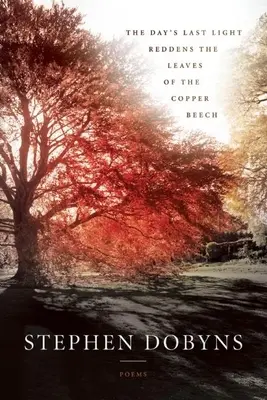 L'ultima luce del giorno arrossa le foglie del faggio ramato - The Day's Last Light Reddens the Leaves of the Copper Beech