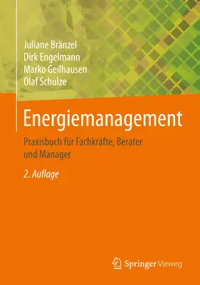 Gestione dell'energia: Praxisbuch Fr Fachkrfte, Berater Und Manager - Energiemanagement: Praxisbuch Fr Fachkrfte, Berater Und Manager