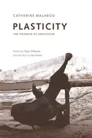 Plasticità: La promessa dell'esplosione - Plasticity: The Promise of Explosion