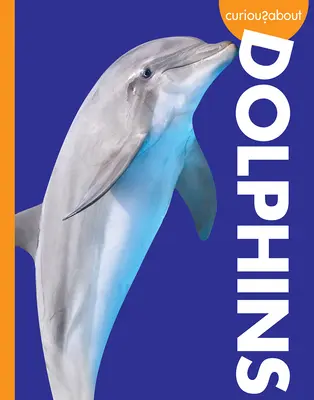 Curiosità sui delfini - Curious about Dolphins