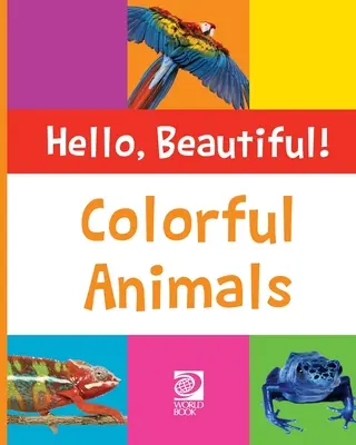 Animali colorati - Colorful Animals