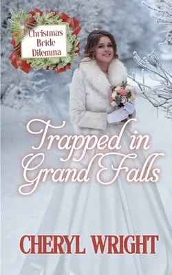 Intrappolato a Grand Falls - Trapped in Grand Falls