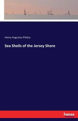 Conchiglie di mare della costa del Jersey - Sea Shells of the Jersey Shore