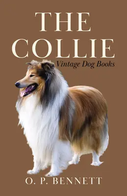 Il Collie - The Collie