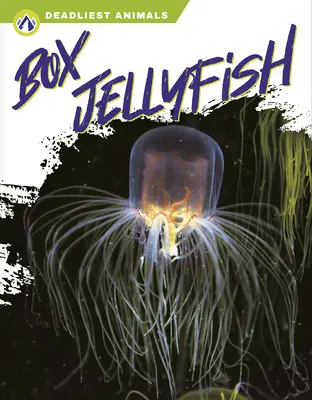 Medusa scatola - Box Jellyfish