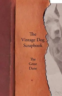 L'annuario dei cani - L'alano - The Vintage Dog Scrapbook - The Great Dane